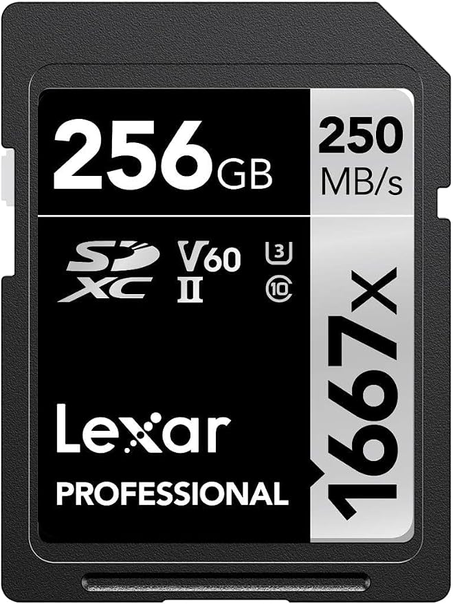 Lexar Professional 1667x SD Card 256GB, SDXC UHS-II Memory Card, Up to 250MB/s Read, 120MB/s Write, Class 10, U3, V60 SD for Professional Photographer, Videographer, Enthusiast (LSD256CB1667) - alternate view